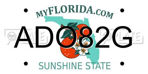 ADO82G Florida License Plate