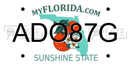 ADO87G Florida License Plate