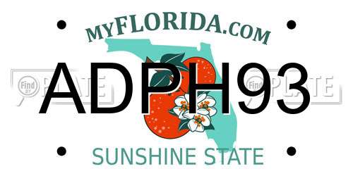 ADPH93 Florida License Plate