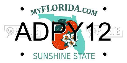 ADPY12 Florida License Plate
