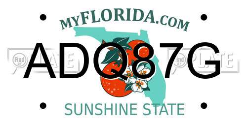 ADQ87G Florida License Plate