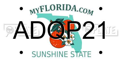 ADQP21 Florida License Plate