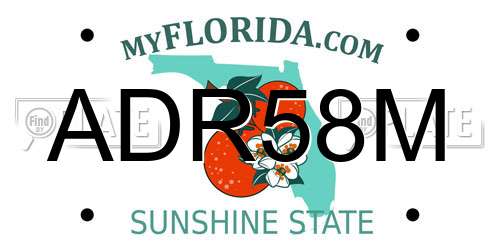ADR58M Florida License Plate