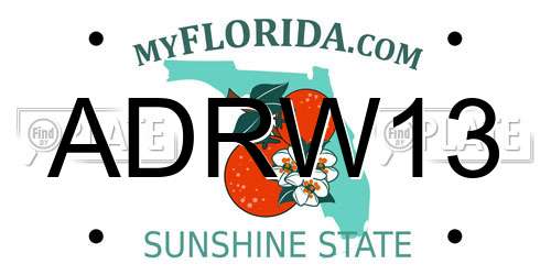 ADRW13 Florida License Plate