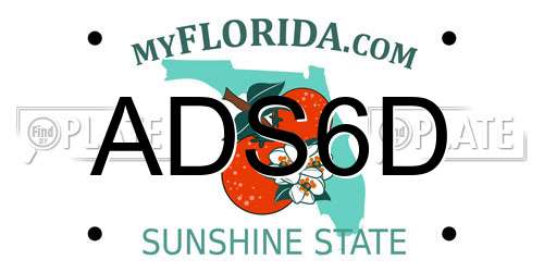 ADS6D Florida License Plate