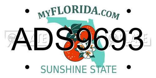 ADS9693 Florida License Plate
