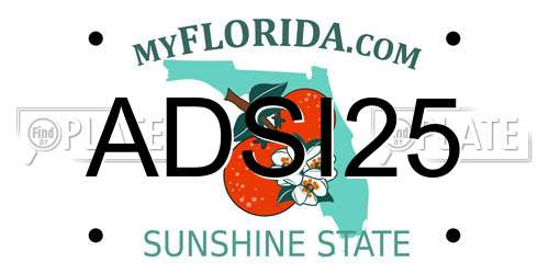 ADSI25 Florida License Plate