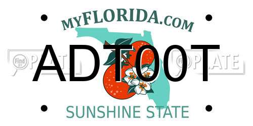 ADT00T Florida License Plate