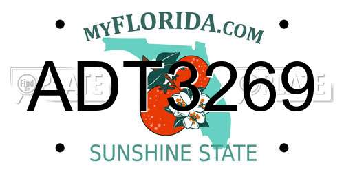 ADT3269 Florida License Plate