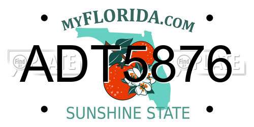 ADT5876 Florida License Plate