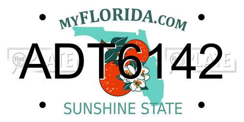 ADT6142 Florida License Plate