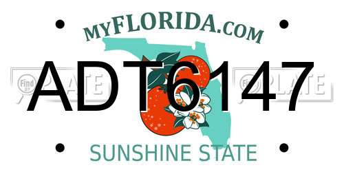 ADT6147 Florida License Plate