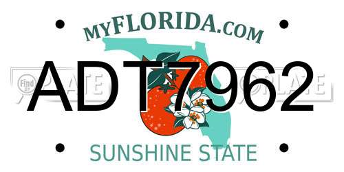 ADT7962 Florida License Plate