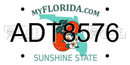 ADT8576 Florida License Plate