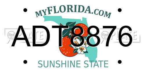 ADT8876 Florida License Plate