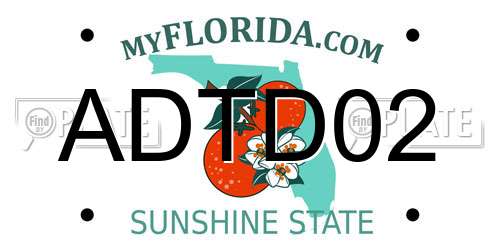 ADTD02 Florida License Plate