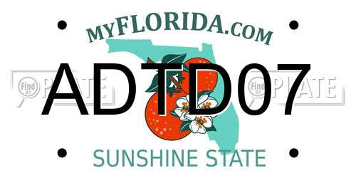 ADTD07 Florida License Plate