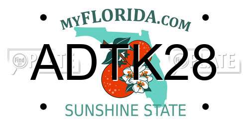 ADTK28 Florida License Plate