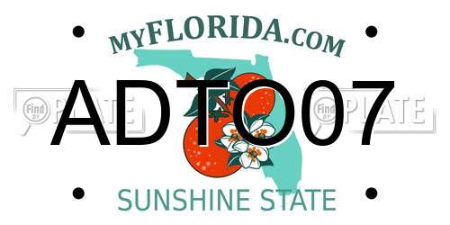 ADTO07 Florida License Plate