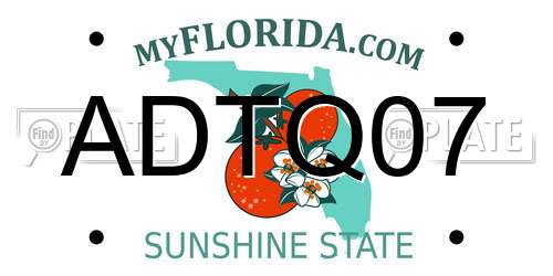 ADTQ07 Florida License Plate
