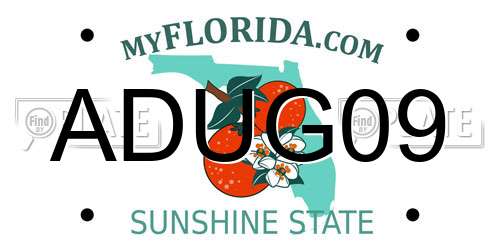 ADUG09 Florida License Plate