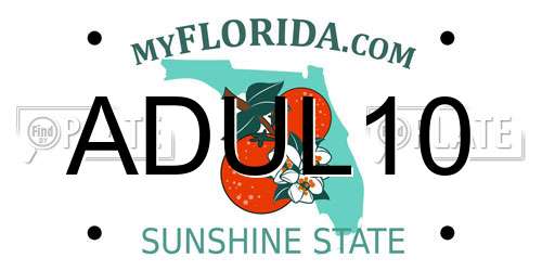 ADUL10 Florida License Plate