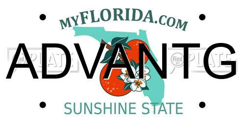 ADVANTG Florida License Plate