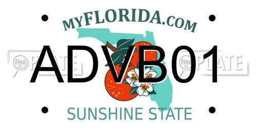 ADVB01 Florida License Plate