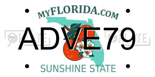 ADVE79 Florida License Plate