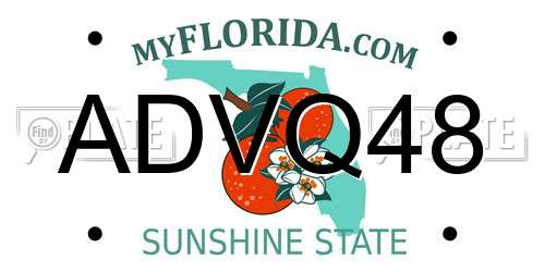 ADVQ48 Florida License Plate