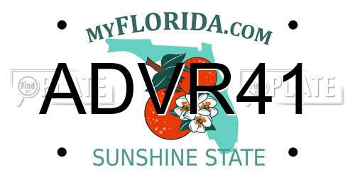 ADVR41 Florida License Plate