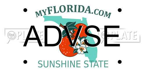 ADVSE Florida License Plate