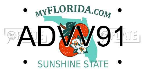 ADVV91 Florida License Plate
