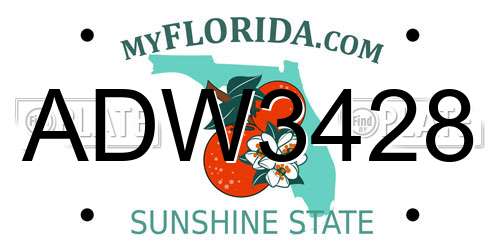 ADW3428 Florida License Plate