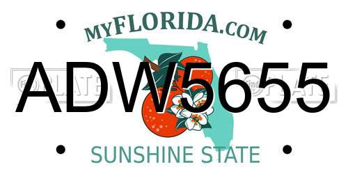 ADW5655 Florida License Plate