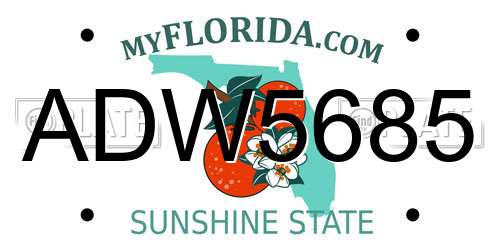 ADW5685 Florida License Plate