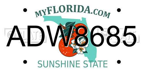 ADW8685 Florida License Plate