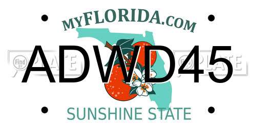 ADWD45 Florida License Plate