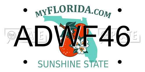 ADWF46 Florida License Plate