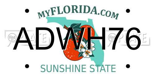 ADWH76 Florida License Plate