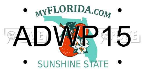 ADWP15 Florida License Plate