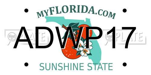 ADWP17 Florida License Plate