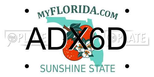 ADX6D Florida License Plate