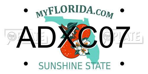 ADXC07 Florida License Plate