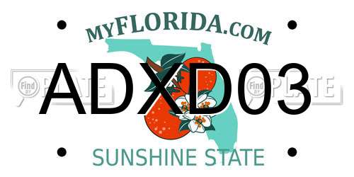 ADXD03 Florida License Plate