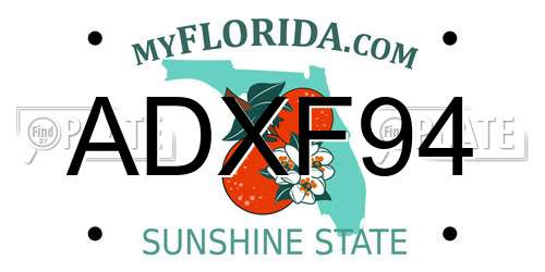 ADXF94 Florida License Plate