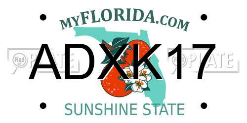 ADXK17 Florida License Plate