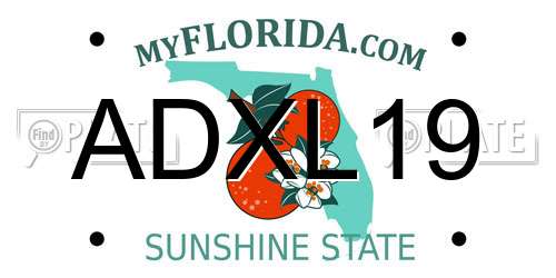 ADXL19 Florida License Plate