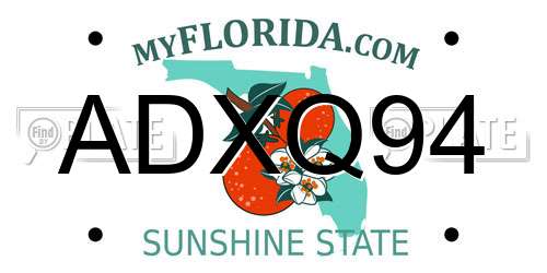 ADXQ94 Florida License Plate