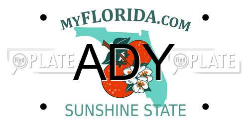 ADY Florida License Plate
